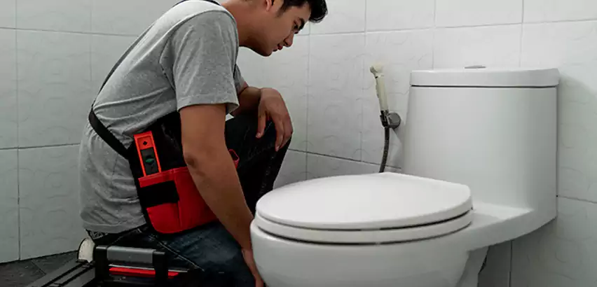 Toilet Repair in Southfield