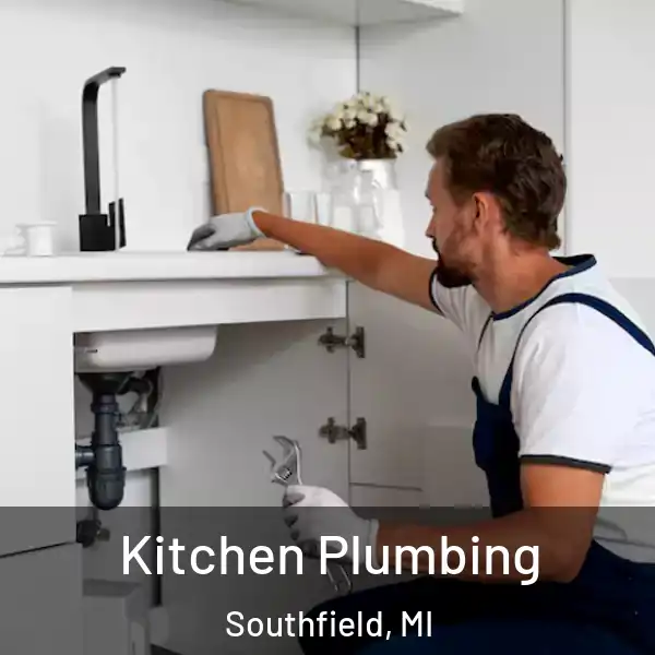  Kitchen Plumbing Southfield, MI