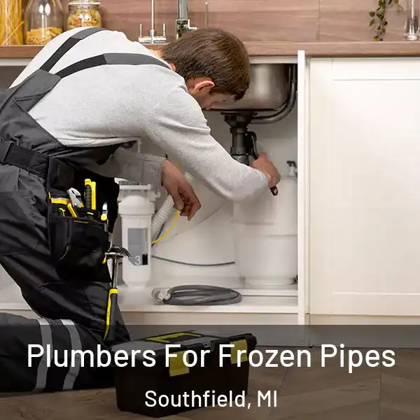  Plumbers For Frozen Pipes Southfield, MI