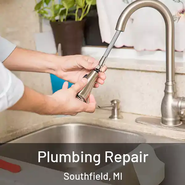  Plumbing Repair Southfield, MI