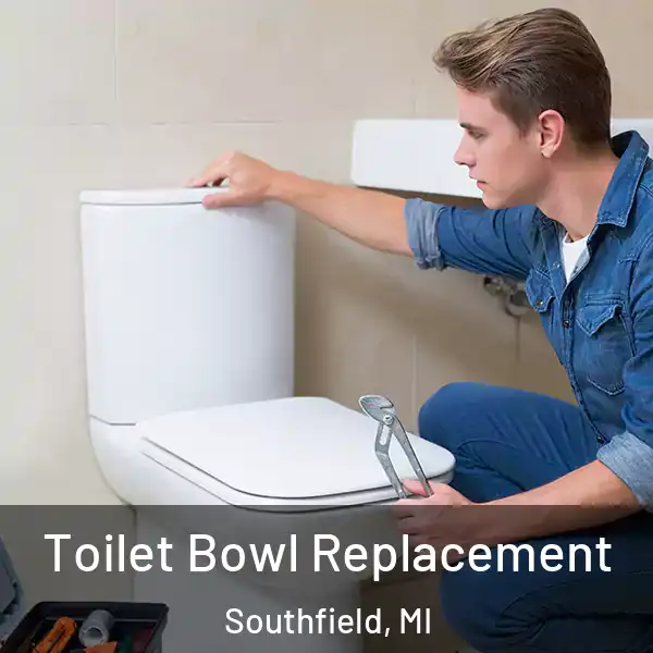  Toilet Bowl Replacement Southfield, MI