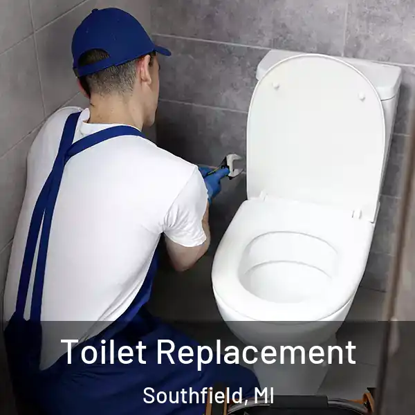 Toilet Replacement Southfield, MI