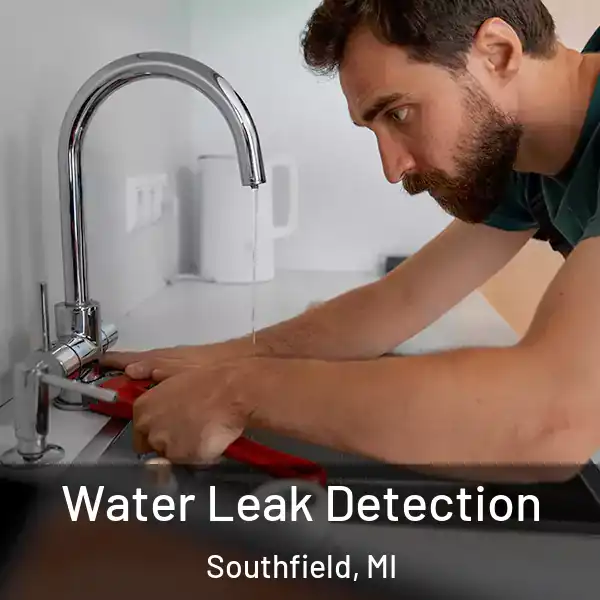  Water Leak Detection Southfield, MI